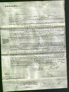 Court of Common Pleas - Sarah Jarvis and Sarah Bowles-Original Ancestry