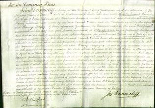 Court of Common Pleas - Hannah Vickers-Original Ancestry