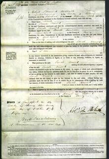 Court of Common Pleas - Sarah Arnold-Original Ancestry