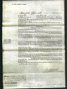 Court of Common Pleas - Sarah Gash-Original Ancestry