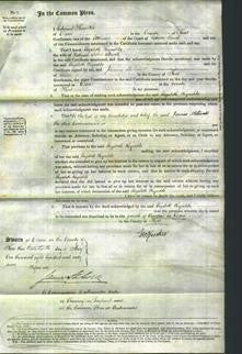 Court of Common Pleas - Elizabeth Reynolds Adcock-Original Ancestry