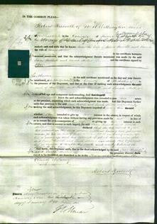 Court of Common Pleas - Jane Russell, Sarah Miller-Original Ancestry