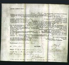 Court of Common Pleas - Betty Lawson-Original Ancestry