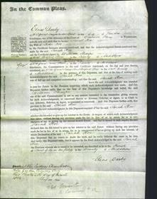 Court of Common Pleas - Sarah Roe-Original Ancestry