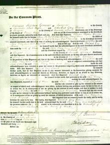 Court of Common Pleas - Jane Horbury, Mary Ann Beal and Elizabeth Edwards-Original Ancestry