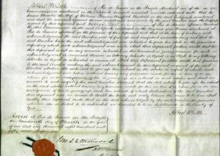 Court of Common Pleas - Amelia Newbold-Original Ancestry