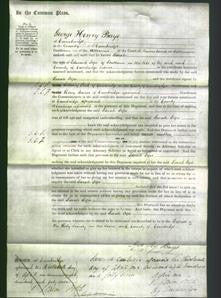 Court of Common Pleas - Sarah Pope-Original Ancestry