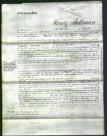 Court of Common Pleas - Maria Hughes-Original Ancestry