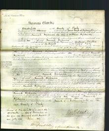 Court of Common Pleas - Hannah Hopkinson-Original Ancestry
