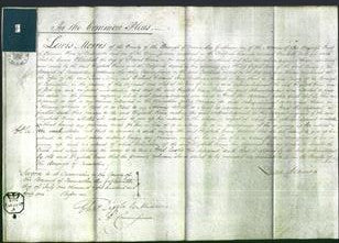 Court of Common Pleas - Elizabeth Evans-Original Ancestry