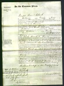 Court of Common Pleas - Sarah Maachah Warren-Original Ancestry