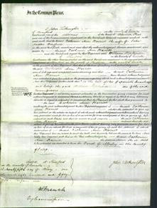 Court of Common Pleas - Catherine Ann Harriet Wingfield