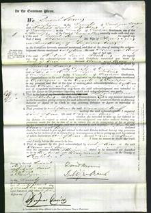 Court of Common Pleas - Anna Evans and Mary Evans-Original Ancestry