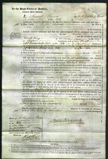 Court of Common Pleas - Amelia Sinnick-Original Ancestry