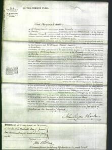 Court of Common Pleas - Ann Giles-Original Ancestry