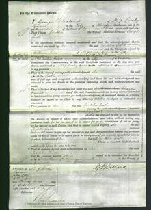 Court of Common Pleas - Cordelia Castle-Original Ancestry