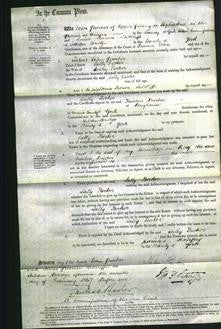 Court of Common Pleas - Sally Parker-Original Ancestry
