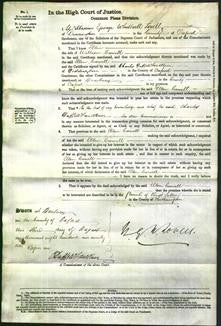 Court of Common Pleas - Ellen Carwell-Original Ancestry