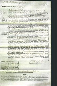 Court of Common Pleas - Elizabeth Sherring, Eliza Nicholas and Emma Shepherd-Original Ancestry