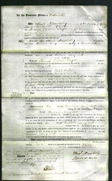 Court of Common Pleas - Barbara Mary Scott-Original Ancestry