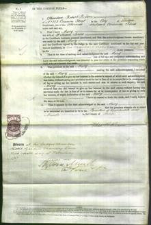 Court of Common Pleas - Mary Jones-Original Ancestry