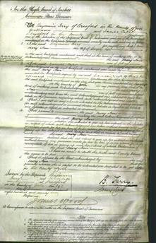 Court of Common Pleas - Mary Ann Lee-Original Ancestry