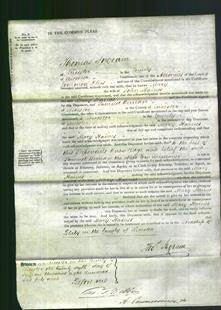 Court of Common Pleas - Mary Haines-Original Ancestry