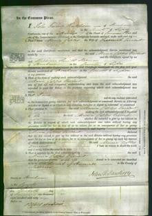 Court of Common Pleas - Maria Copley Vincent-Original Ancestry