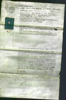 Court of Common Pleas - Eliza Martha Burnard-Original Ancestry