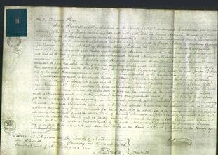 Court of Common Pleas - Hannah Nicholson-Original Ancestry