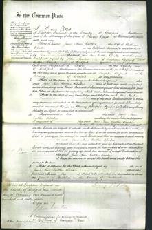 Court of Common Pleas - Jane Ann Cuttler Rhodes-Original Ancestry