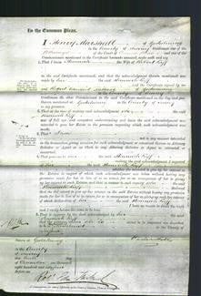 Court of Common Pleas - Hannah Luff-Original Ancestry