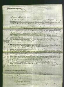 Court of Common Pleas - Martha Williams Henry-Original Ancestry