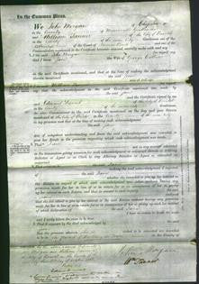 Court of Common Pleas - Jane Collins-Original Ancestry