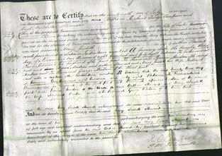 Deed by Married Women - Mary Judith Stewart-Original Ancestry