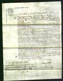 Court of Common Pleas - Sarah Dodds-Original Ancestry