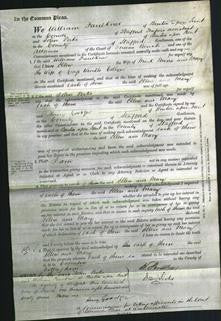 Court of Common Pleas - Ellen Moore and Mary Collyer-Original Ancestry