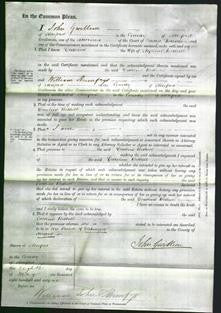 Court of Common Pleas - Caroline Bethell-Original Ancestry