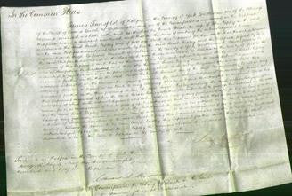 Court of Common Pleas - Sarah Ripley-Original Ancestry