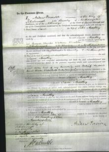 Court of Common Pleas - Jane Headley-Original Ancestry