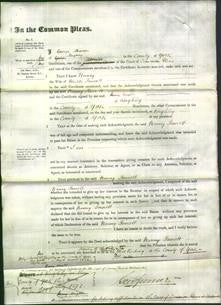 Court of Common Pleas - Nanny Fawcett-Original Ancestry