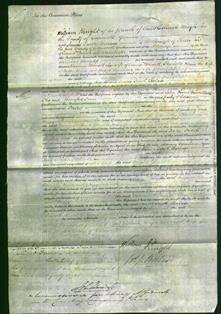 Court of Common Pleas - Susannah Blewett, Charlotte Keam and Peggy Trebilcock-Original Ancestry