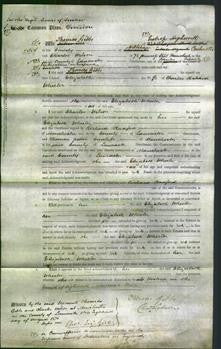 Court of Common Pleas - Elizabeth Wheeler-Original Ancestry