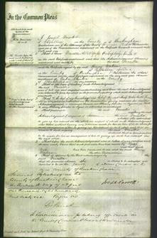 Court of Common Pleas - Drusilla Bull-Original Ancestry