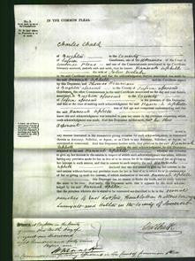 Court of Common Pleas - Hannah Uphill Welch-Original Ancestry