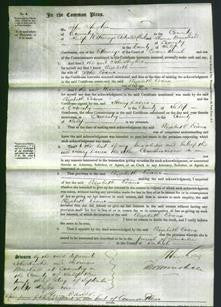 Court of Common Pleas - Elizabeth Evans-Original Ancestry