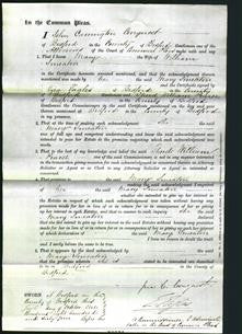 Court of Common Pleas - Mary Smeaton-Original Ancestry