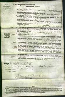 Court of Common Pleas - Sarah Parsons and Julia Carpenter-Original Ancestry