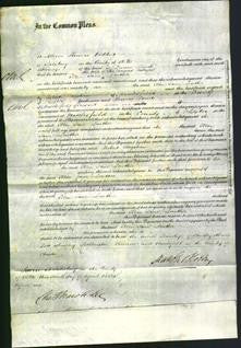 Court of Common Pleas - Ellen Jane Lowther-Original Ancestry