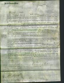 Court of Common Pleas - Elizabeth Saxon-Original Ancestry
